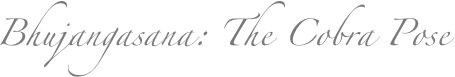 Bhujangasana: The Cobra Pose